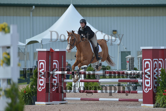 BRSa(5-17-14)HChAdJ0131
