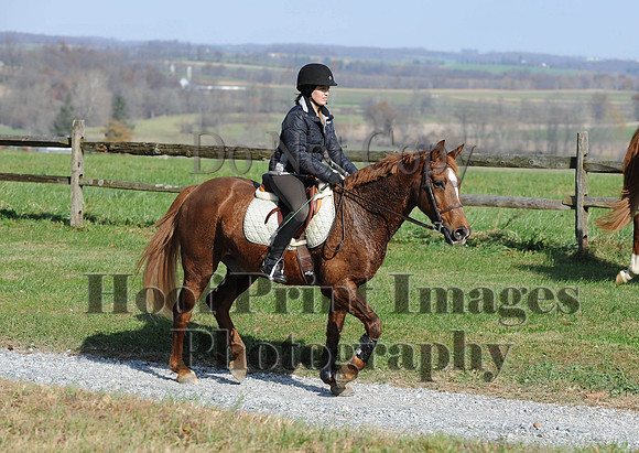AndrewsBr(11-9-14)0086