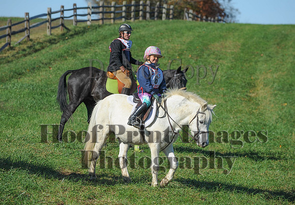 Cheshire(10-19-14)0415