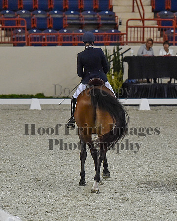 CWdressageII(8-21-16)0410