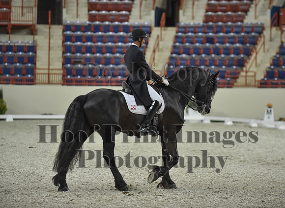 CWdressageI(8-20-16)1652