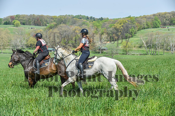 CheshireSpringPC1(4-28-24)0163