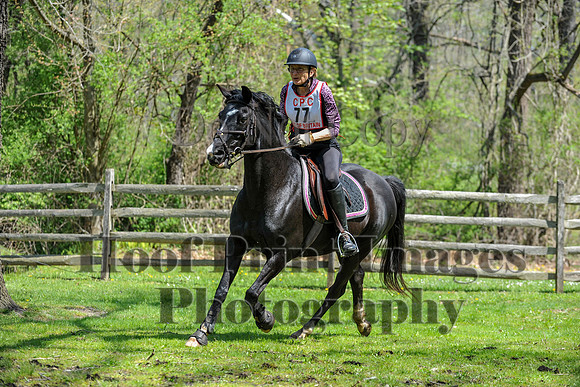 CheshireSpringPC2(4-28-24)0374