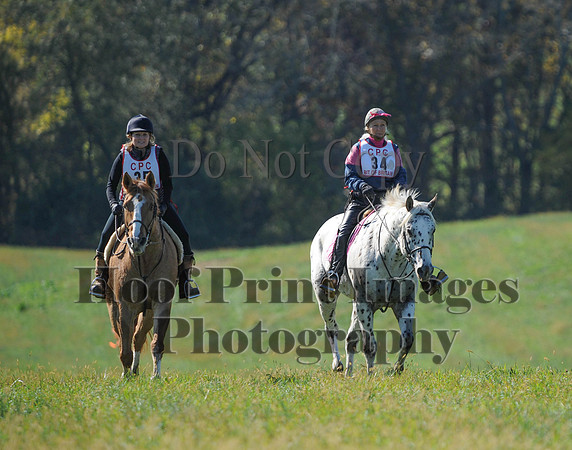 Cheshire(10-20-13)0411