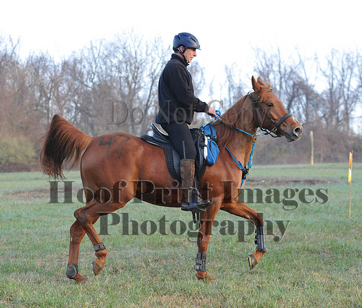 Foxcatcher(4-12-14)0172