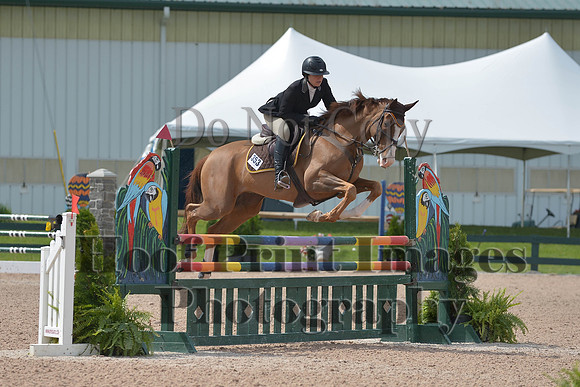 BRSa(5-17-14)HChAdJ0168