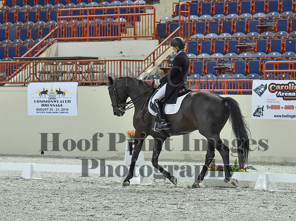 CWdressageI(8-20-16)1457